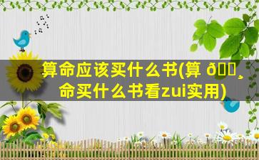 算命应该买什么书(算 🕸 命买什么书看zui
实用)